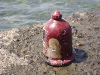 /album/%ce%ad%ce%ba%ce%b8%ce%b5%cf%83%ce%b7-%cf%86%cf%89%cf%84%ce%bf%ce%b3%cf%81%ce%b1%cf%86%ce%b9%cf%8e%ce%bd/dsc00988-jpg/