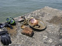 /album/%ce%ad%ce%ba%ce%b8%ce%b5%cf%83%ce%b7-%cf%86%cf%89%cf%84%ce%bf%ce%b3%cf%81%ce%b1%cf%86%ce%b9%cf%8e%ce%bd/dsc00993-jpg/