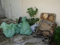 /album/%ce%ad%ce%ba%ce%b8%ce%b5%cf%83%ce%b7-%cf%86%cf%89%cf%84%ce%bf%ce%b3%cf%81%ce%b1%cf%86%ce%b9%cf%8e%ce%bd/dsc01001-jpg/